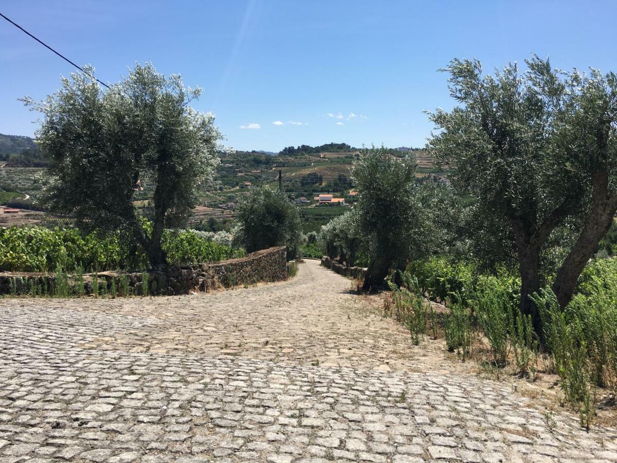 Quinta Do Acipreste Lamego Exterior photo