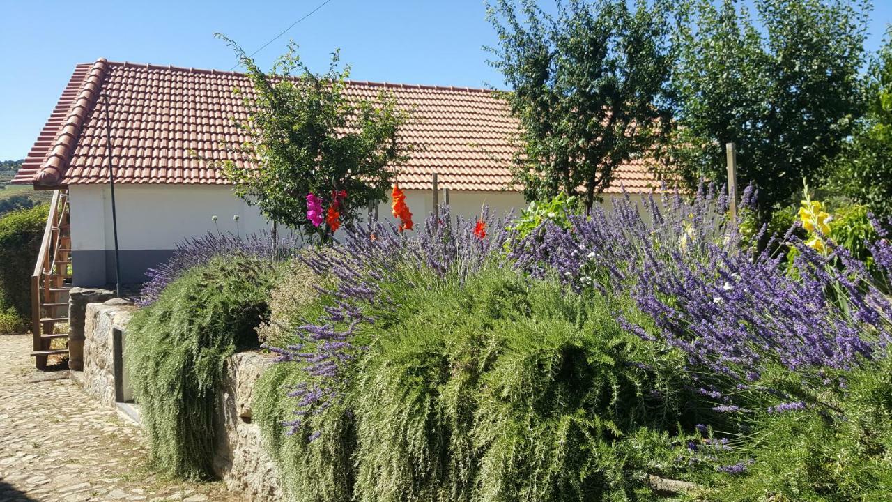 Quinta Do Acipreste Lamego Exterior photo
